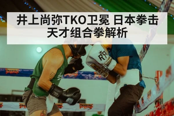 井上尚弥TKO卫冕 日本拳击天才组合拳解析