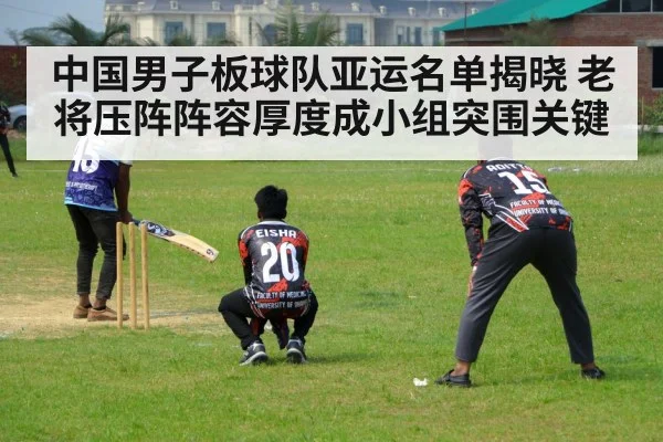 中国男子板球队亚运名单揭晓 老将压阵阵容厚度成小组突围关键